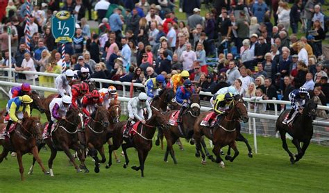 at the races tips.